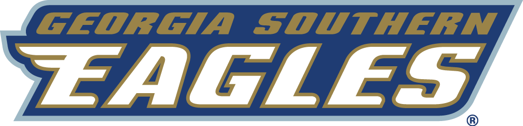 Georgia Southern Eagles 2004-Pres Wordmark Logo t shirts DIY iron ons v2